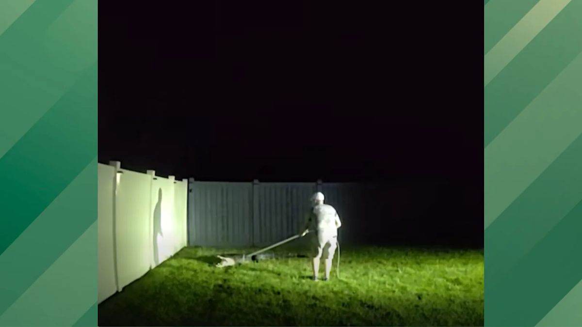 Trappers Called to Help Florida Homeowner With Massive Gator