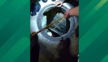 Tampa Cops Save a Tiny Dog with a Bucket and Cheese Rescue, Then It Finds a Forever Home