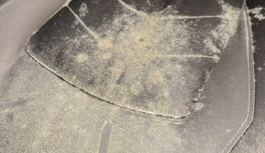Families speak up: Mold spreads at student housing in Tallahassee