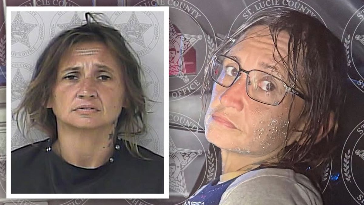 Florida Woman Accused of Stealing Sheriff’s Cruiser, Driving It Nearly 100 Miles