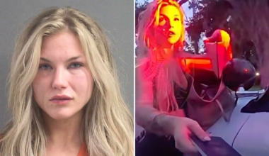 Florida Woman, 24, Arrested After Allegedly Crashing Into Parked Car and Refusing DUI Test