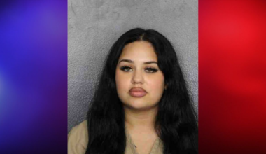 Florida Woman Arrested For DUI After Her 5-Year-Old Was Spotted Hanging Out the Window