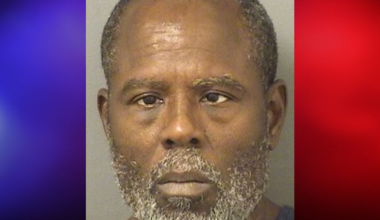 Florida Man Accused of Abusing Service Dog on Consecutive Days Before Surveillance Footage Led to Arrest