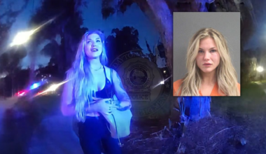 Florida Woman Slams Ford Bronco Into Parked Car, Then Tries to Walk Away From DUI Investigation
