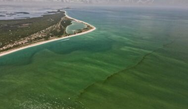 Strange bloom coloring Southwest Florida waters