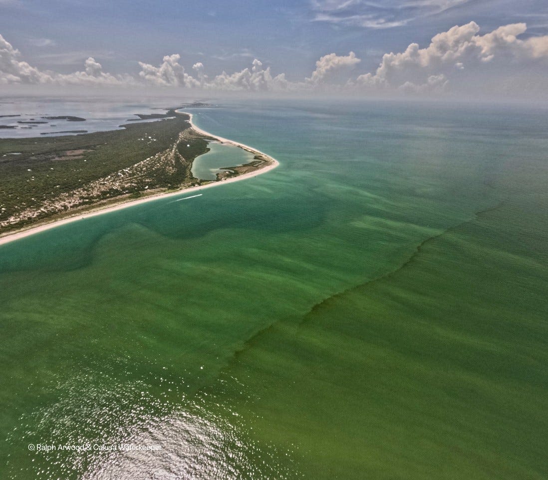 Strange bloom coloring Southwest Florida waters