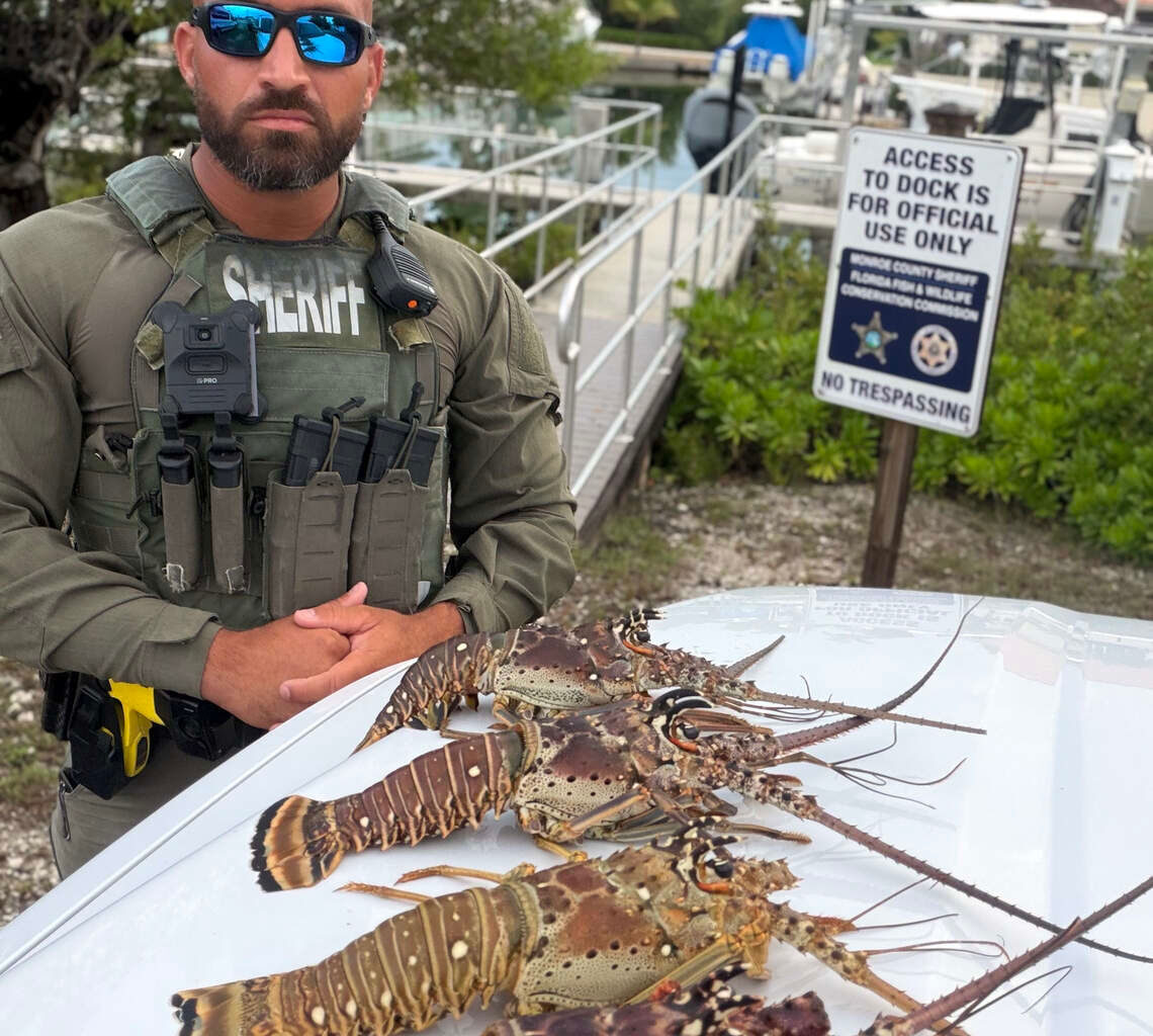 Man arrested, accused of possessing undersized lobsters in Florida Keys