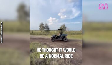Miami Girl Takes The Wheel And Things Get Out Of Control