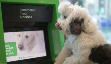 TD Bank opens St. Pete’s first Dog ATM
