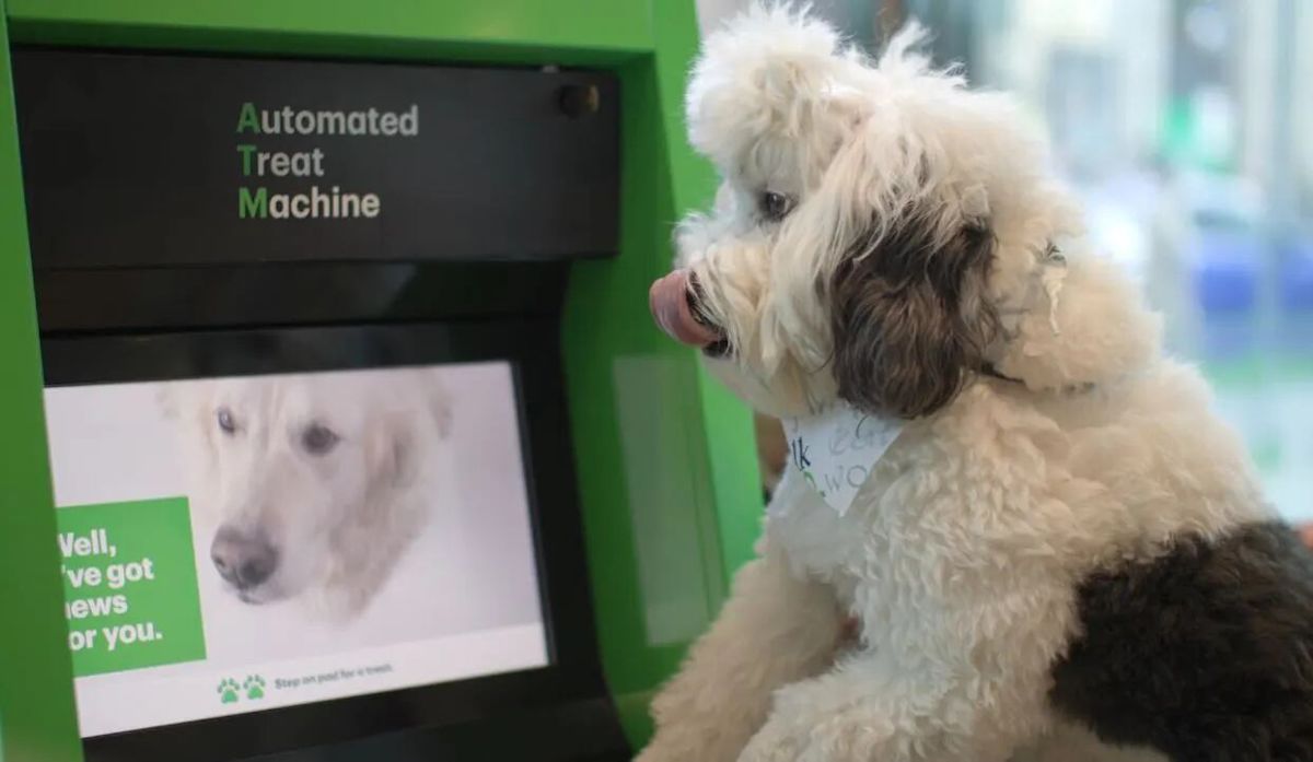 TD Bank opens St. Pete’s first Dog ATM