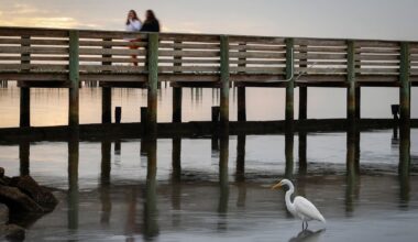2026 Labor Day: What’s closed in Tampa Bay?