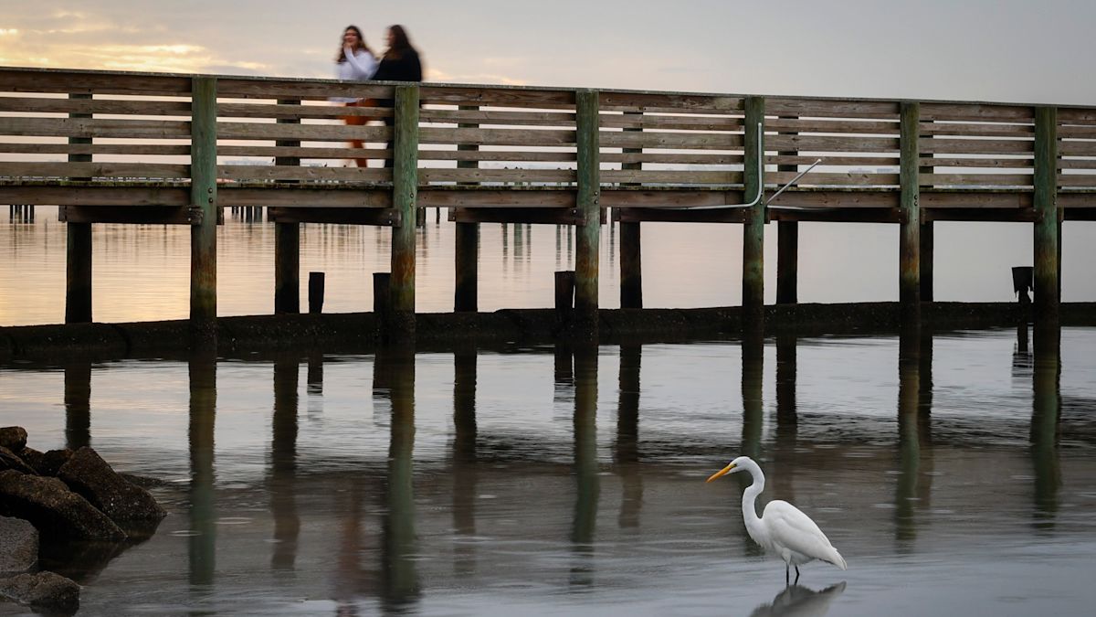 2026 Labor Day: What’s closed in Tampa Bay?