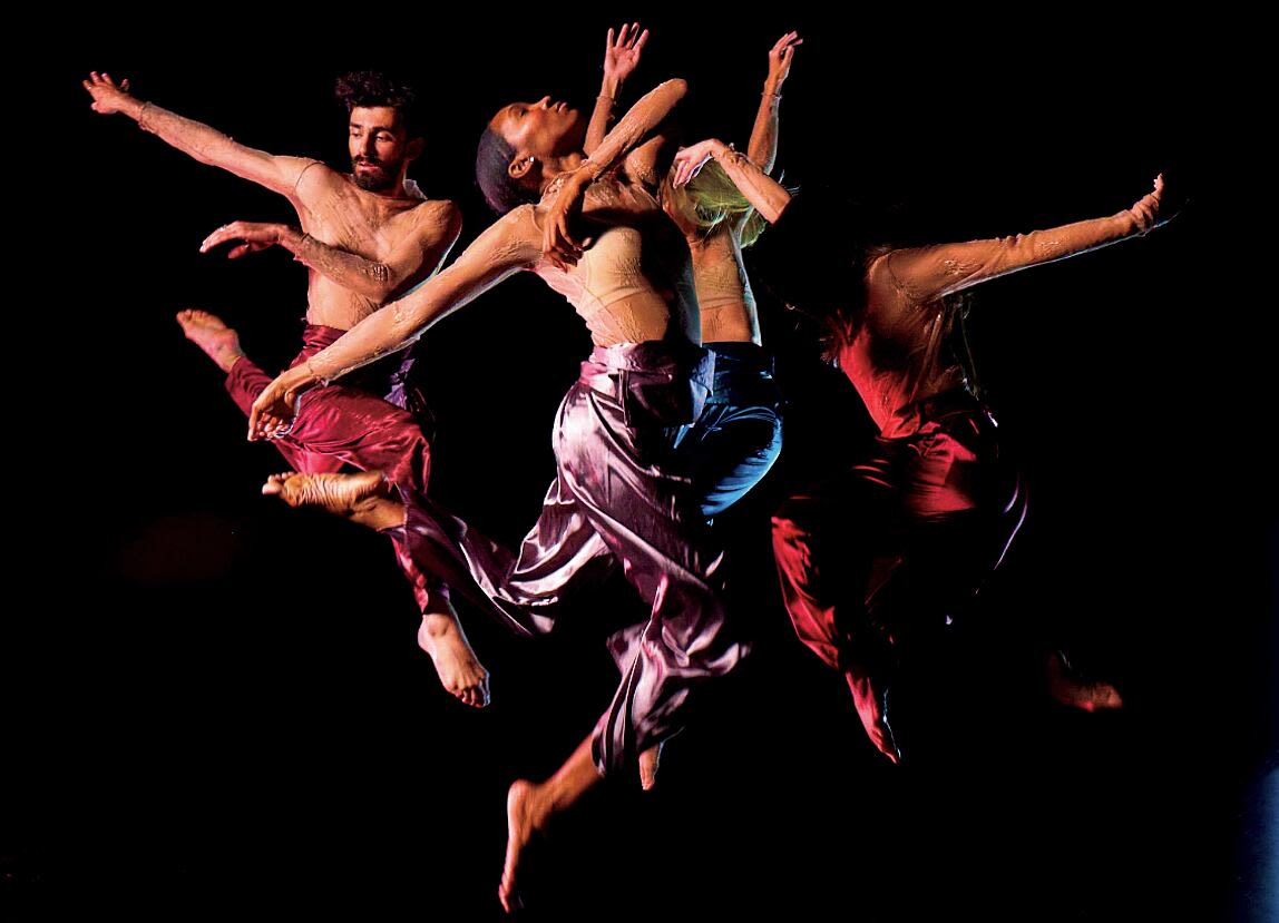 This fall, enjoy an array of spectacular art exhibits in Tampa and St. Pete