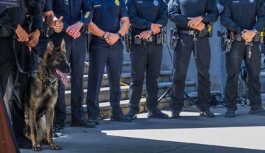 ‘Intense bonds.’ Who foots the bill when Florida’s police canines retire?