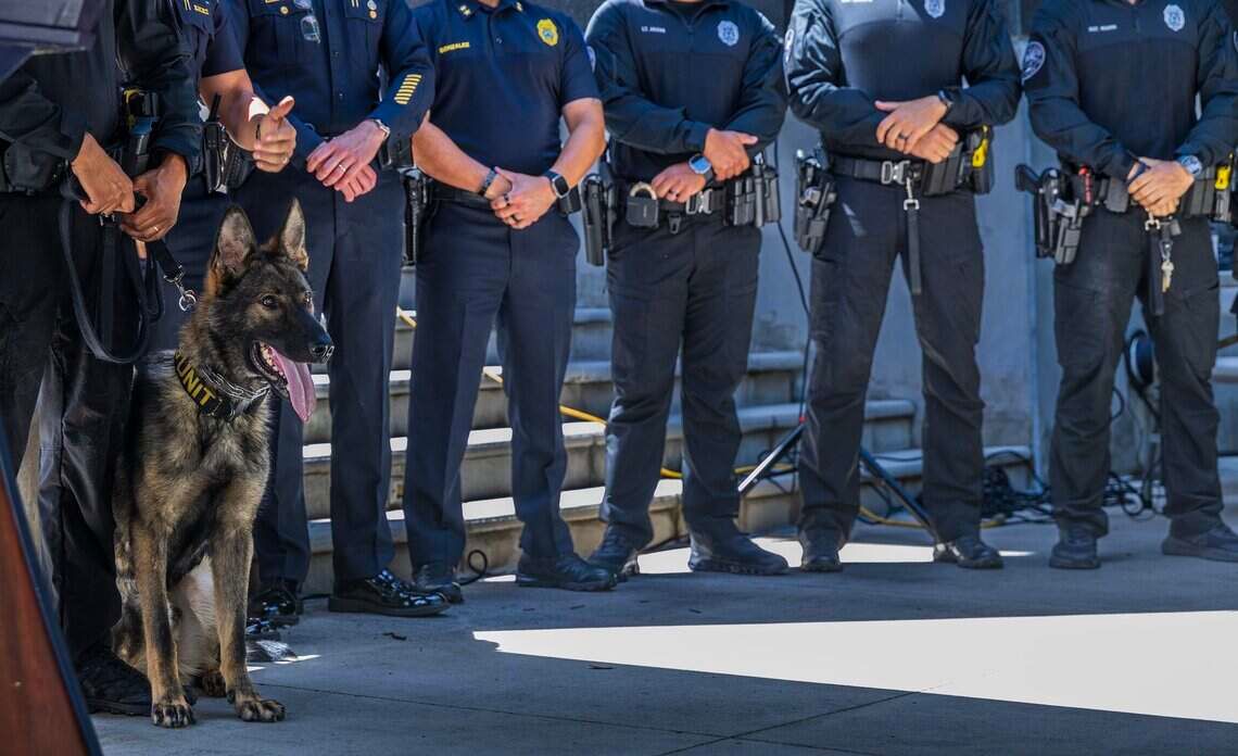 ‘Intense bonds.’ Who foots the bill when Florida’s police canines retire?