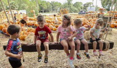 Tampa Bay to get small dose of fall weather this week. What to expect
