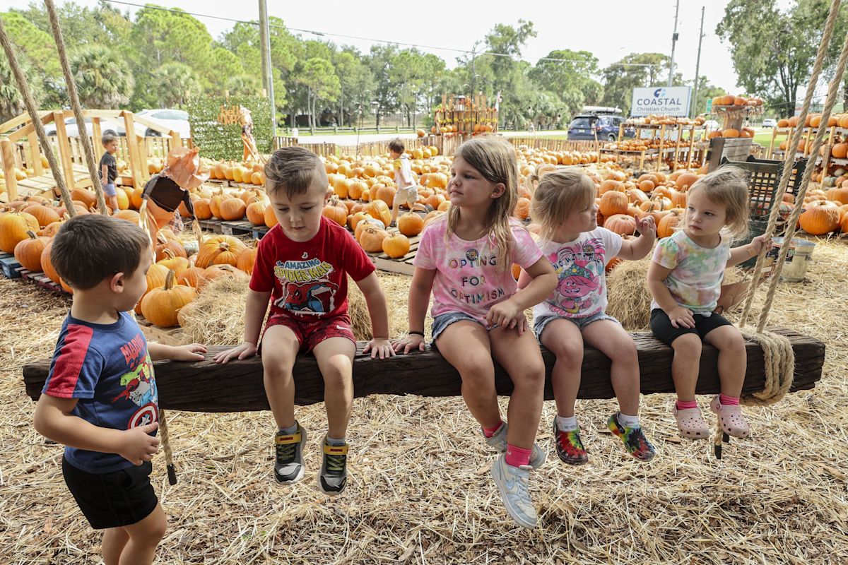 Tampa Bay to get small dose of fall weather this week. What to expect