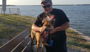 Man’s death after struggle with St. Pete police was ‘excusable homicide,’ sheriff says