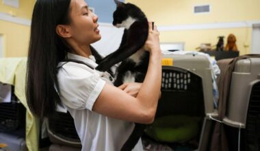 5 Florida animal shelters for cats and dogs on the Treasure Coast