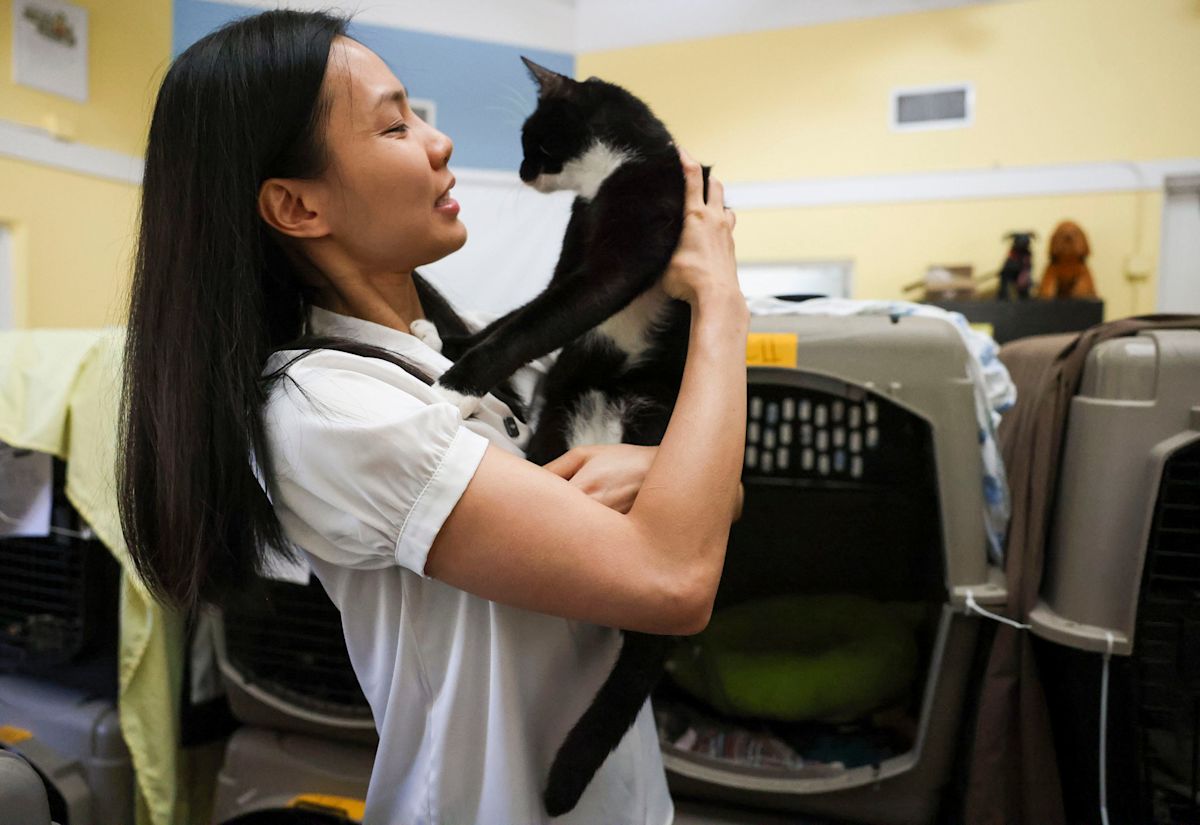 5 Florida animal shelters for cats and dogs on the Treasure Coast