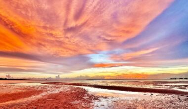 Best SW Florida reader photos include Naples, Fort Myers, Caloosahatchee