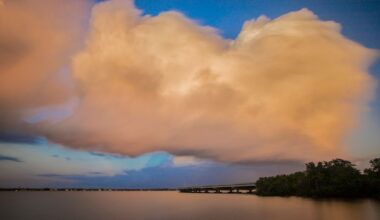 Florida developers fined $34,000, ordered to restore shoreline after illegal mangrove clearing