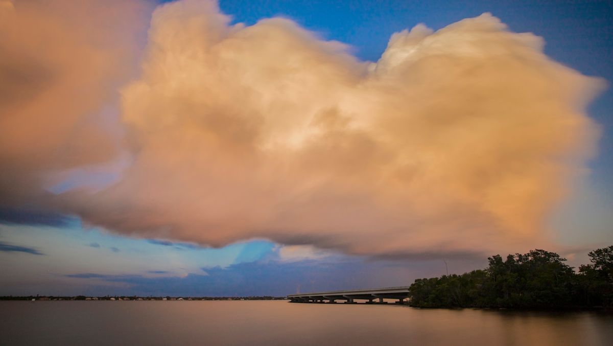 Florida developers fined $34,000, ordered to restore shoreline after illegal mangrove clearing