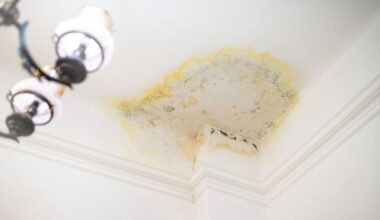 Florida condo owner says upstairs AC leak left mold, and neither HOA nor neighbor are responding