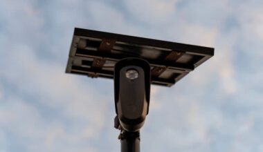 Flock license plate readers used to find driver in deadly hit-and-run: St. Pete police