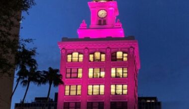 Tampa goes bright pink for Dolly Parton Day