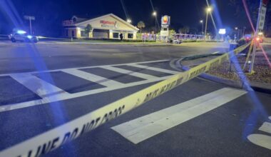 Police search for woman after 1 injured in St. Pete hit-and-run