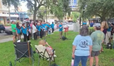 Coalition formed, petition circling St. Pete to swap Duke Energy for City-led power