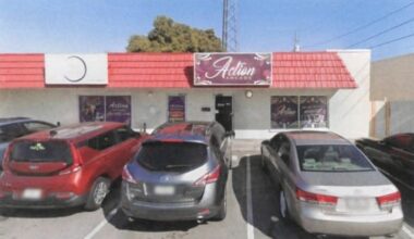 $250K, 163 slot machines seized in Illegal gambling investigation at 2 St. Pete businesses: docs