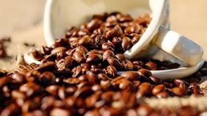 Orlando brews up bragging rights as America’s ‘Best Coffee City’