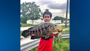 Florida teen catches 3.02-pound jaguar guapote to break state record