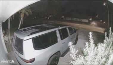 St. Pete residents demand action after deadly crash highlights speeding issue on Park Street North