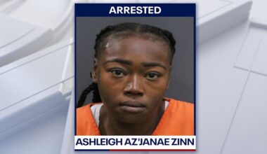 Flock cameras help police arrest woman in deadly St. Pete hit-and-run: SPPD