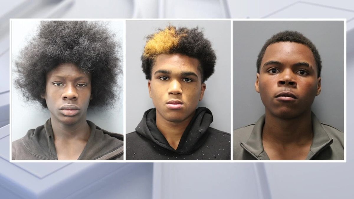 Two Tampa teens denied bond in alleged beating of homeless man: 'Nothing else to do'