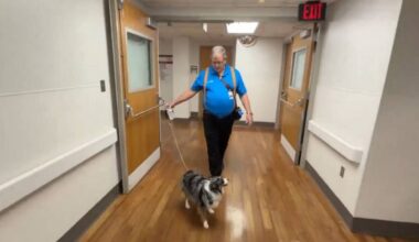 Jack and therapy dog Hunter spread joy at AdventHealth