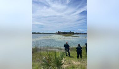 Alligator attacks child at Weeki Wachee Preserve: HCSO
