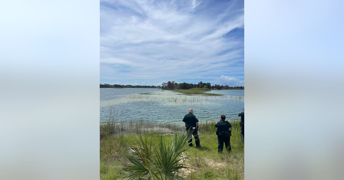 Alligator attacks child at Weeki Wachee Preserve: HCSO