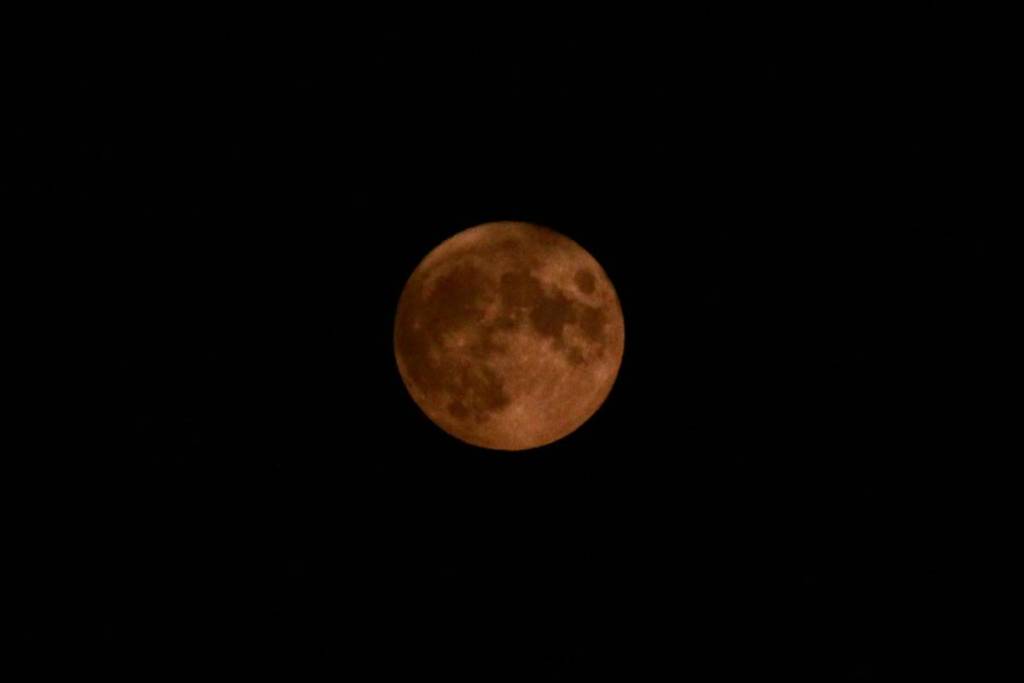 Orange moon