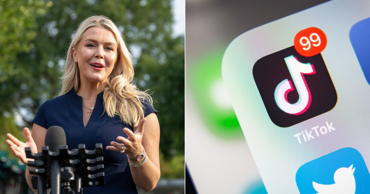 Judge recommends $250 fine, reprimand for fired Florida nurse who posted TikTok about Karoline Leavitt