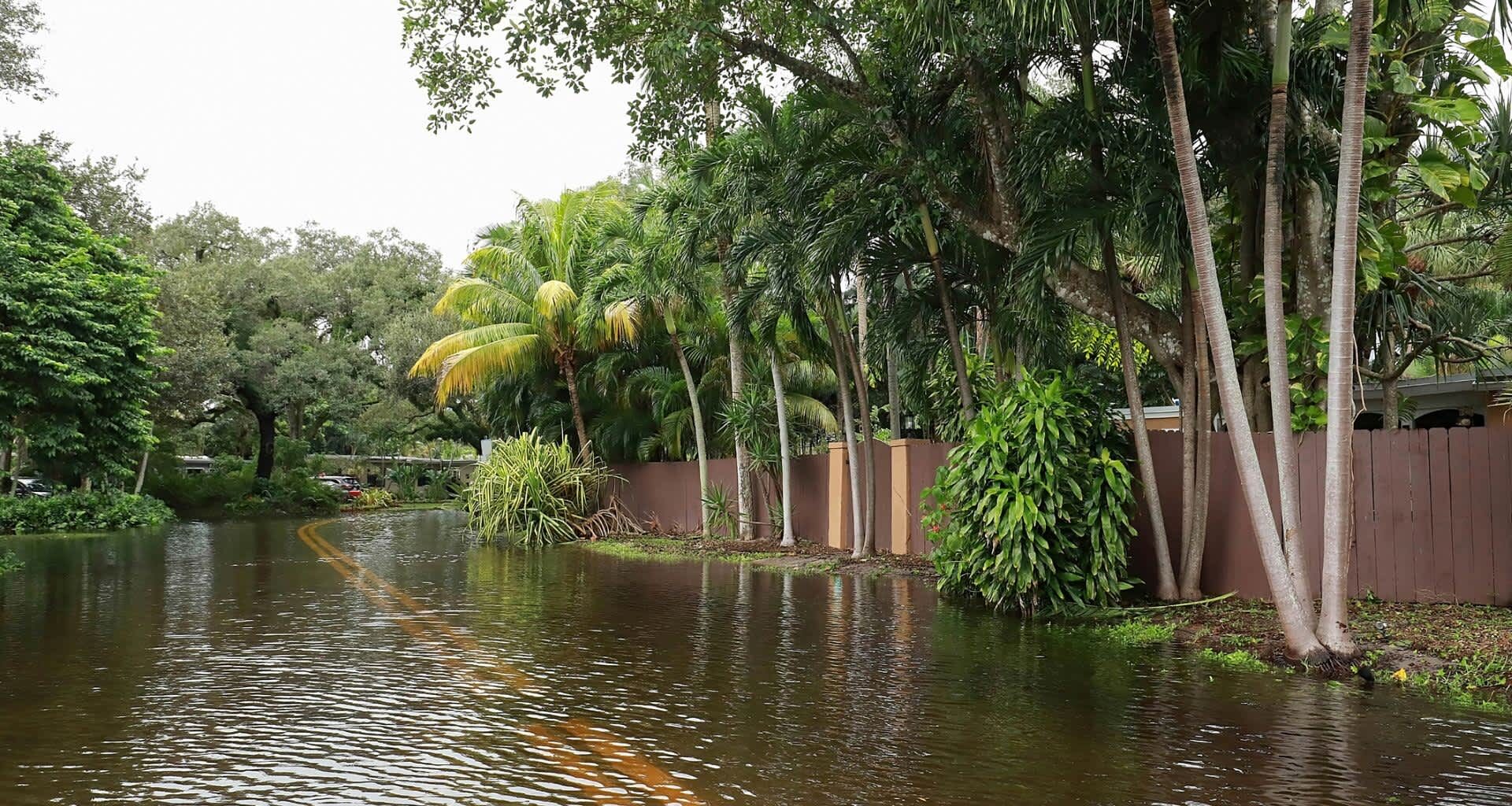 A flooded Florida street.