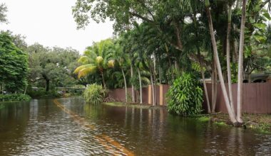 A flooded Florida street.