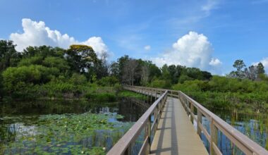 Between Orlando And Tampa Is A Scenic Nature Park With Wildlife, Wetlands, And A Trail With Boardwalks