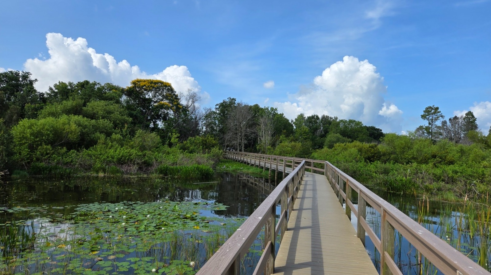 Between Orlando And Tampa Is A Scenic Nature Park With Wildlife, Wetlands, And A Trail With Boardwalks