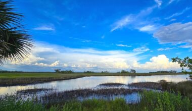 Florida's Gulf Coast Nature Escape Has Trails, Fishing, And Paddle Boating An Hour From Tallahassee