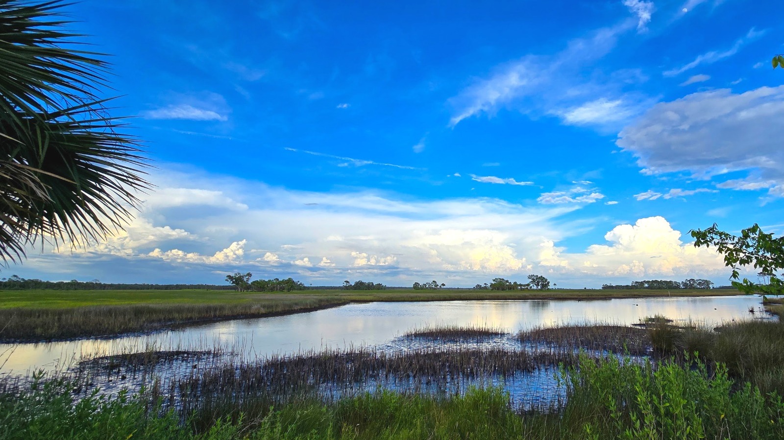 Florida's Gulf Coast Nature Escape Has Trails, Fishing, And Paddle Boating An Hour From Tallahassee