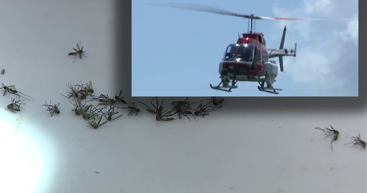 Dengue response: Low-flying helicopters to spray Tampa neighborhoods